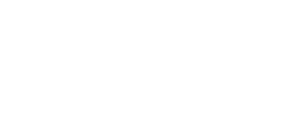 VANE